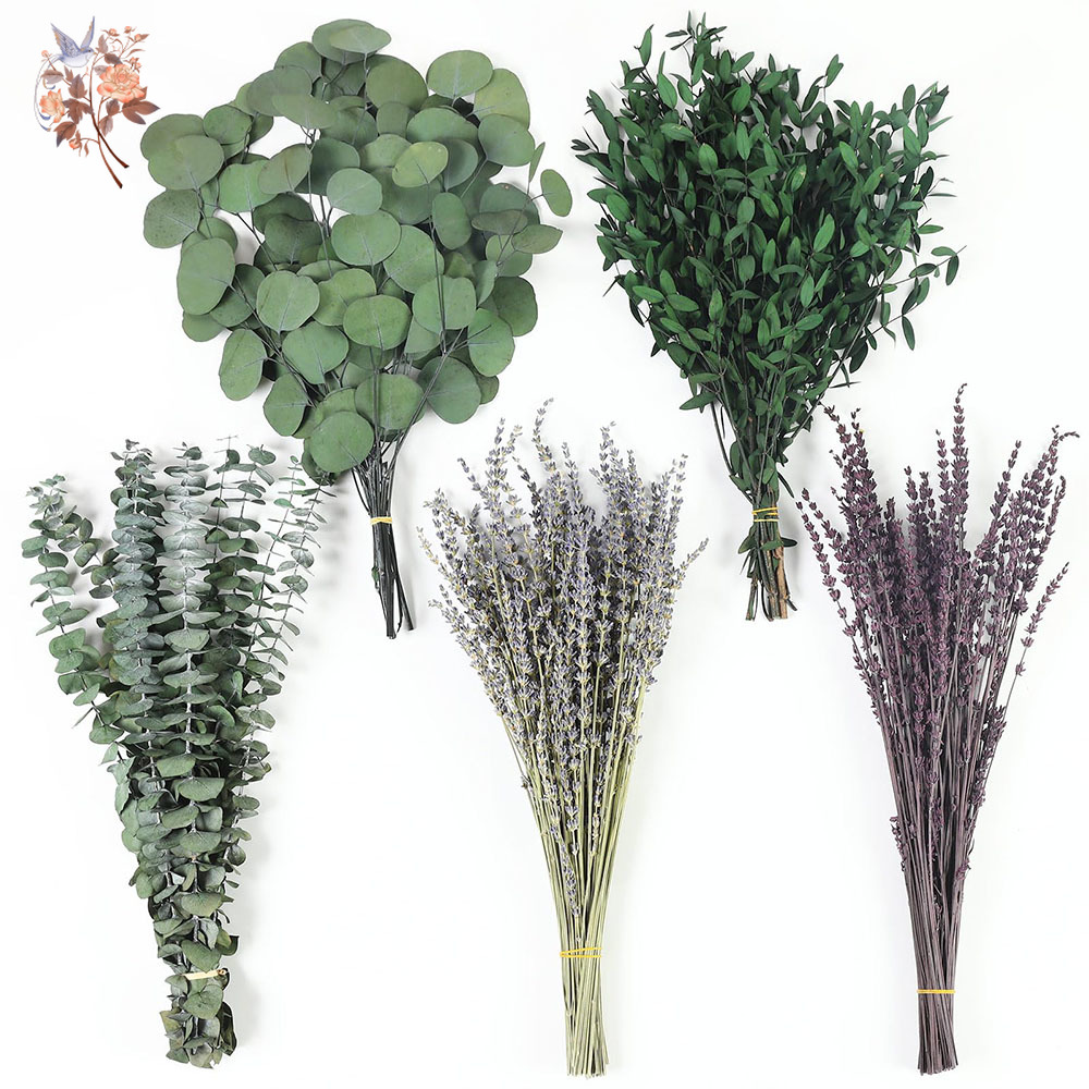 Fragrance Your Home - 110Pcs Campuran Daun Eucalyptus Kering Lavender