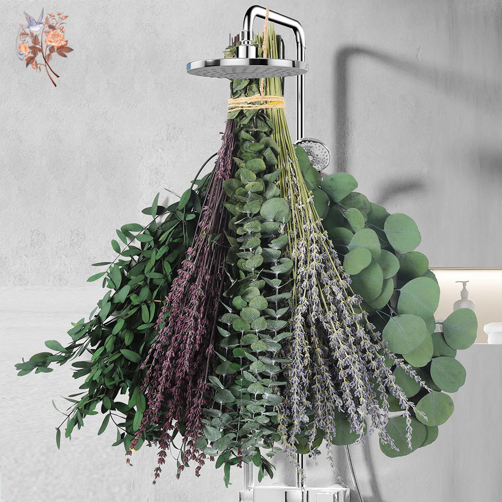 110Pcs Campuran Daun Eucalyptu - Fragrance Your Home ulasan dan harga