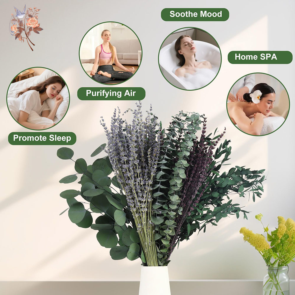 110Pcs Campuran Daun Eucalyptu - Fragrance Your Home ulasan dan harga