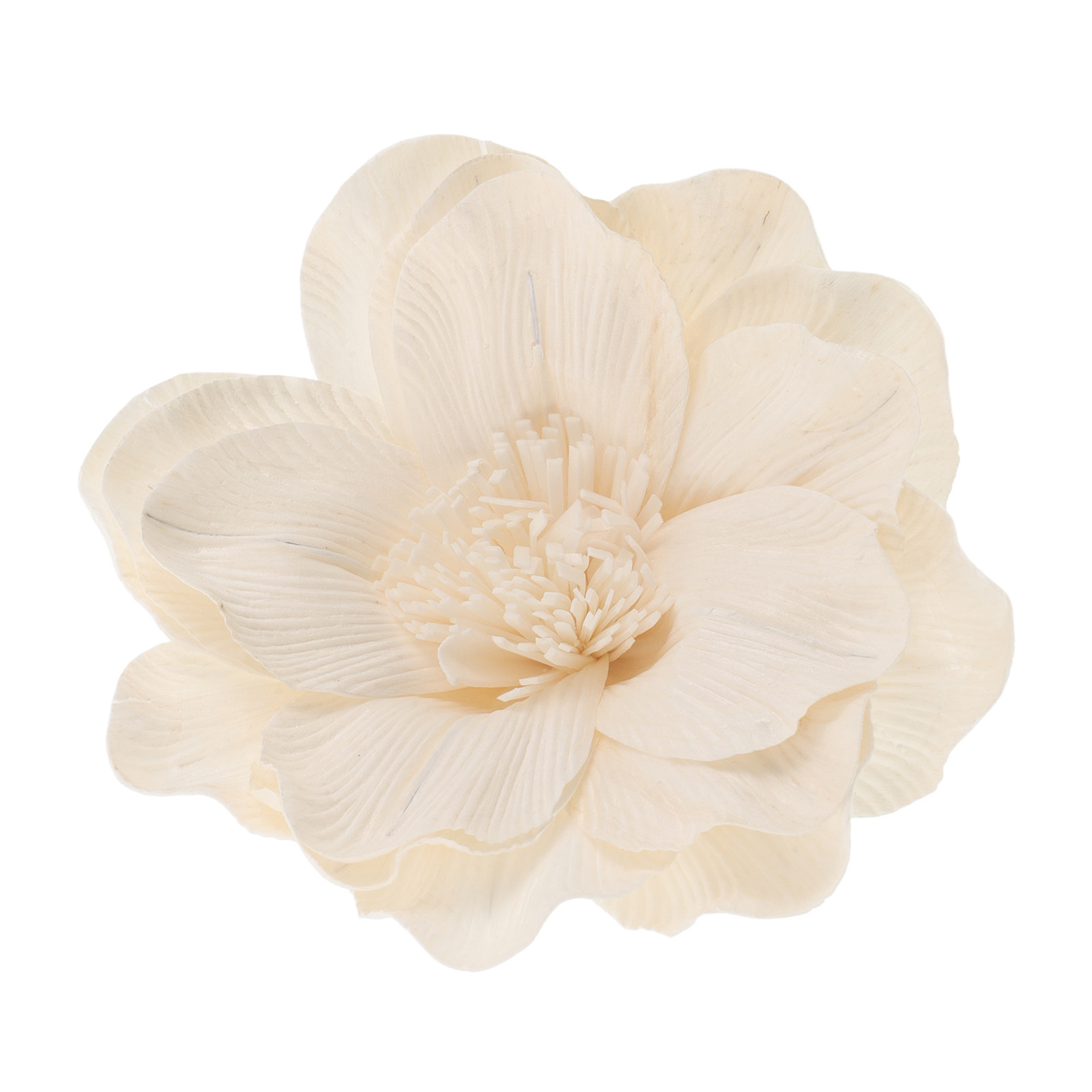 Diffuser Aromaterapi Bunga Lil - Home Fragrance Leather Diffuser ulasan dan harga
